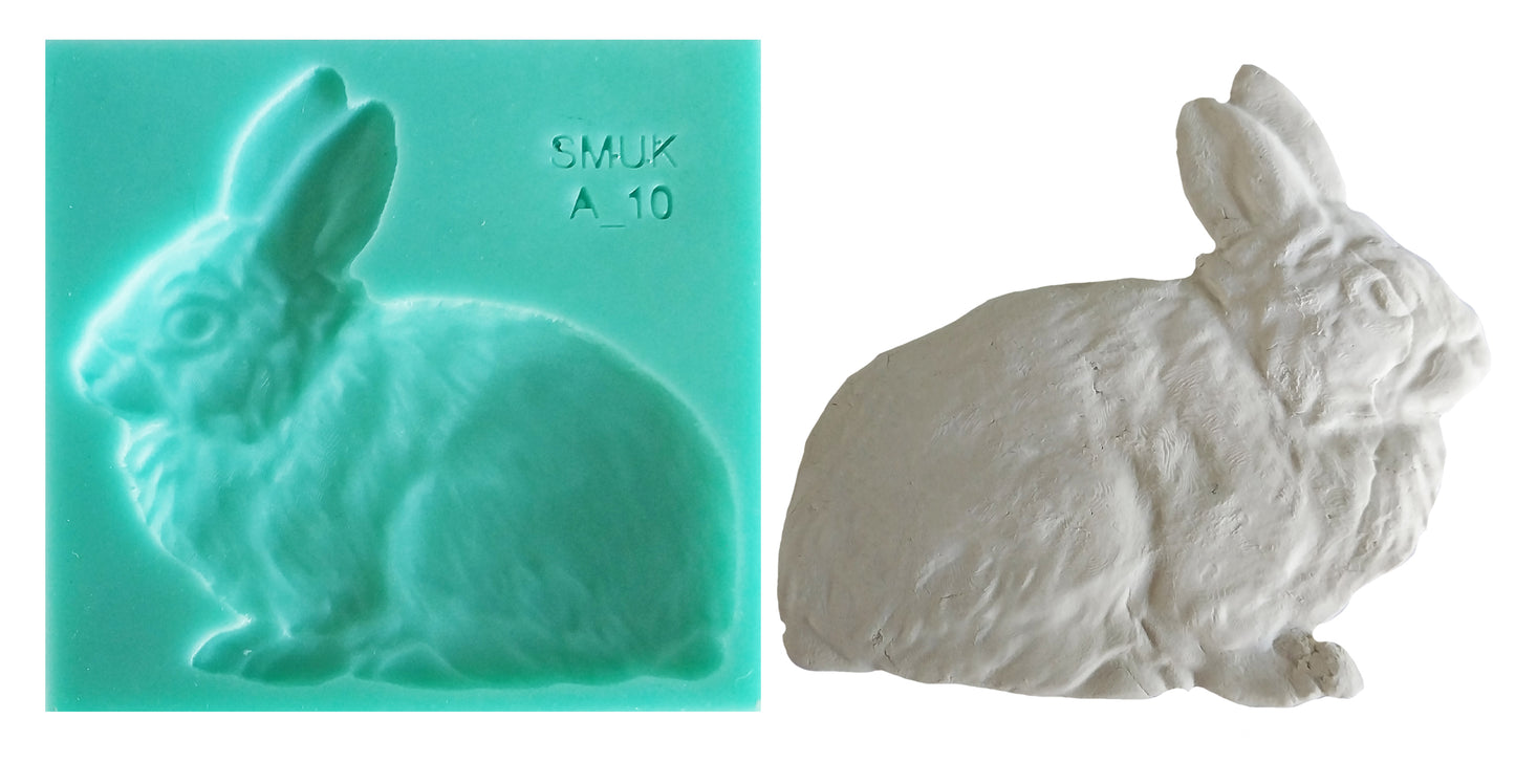 Animal Silicone mould - ( A_10 ) 10-cm x 10 cm x 1cm